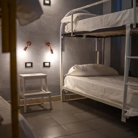 Lion & Youth Hostel *