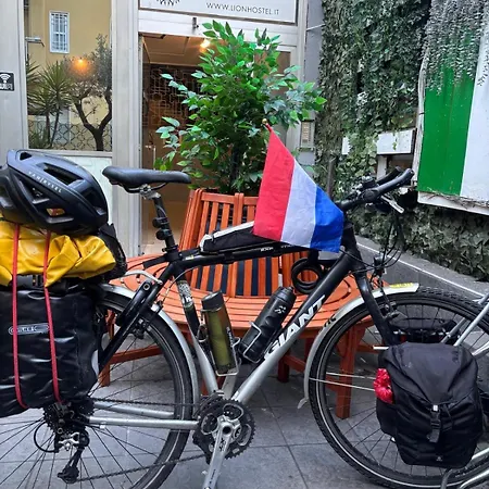 אכסניה Lion & Youth *