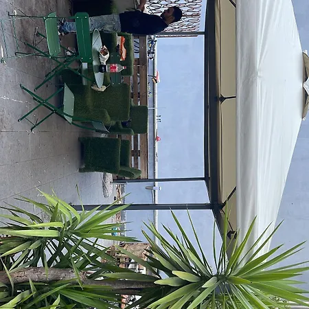 Lion & Youth * מילאנו