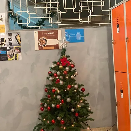 אכסניה Lion & Youth *