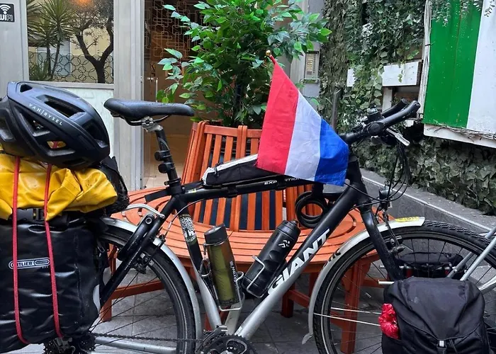 Hostel Lion & Youth *